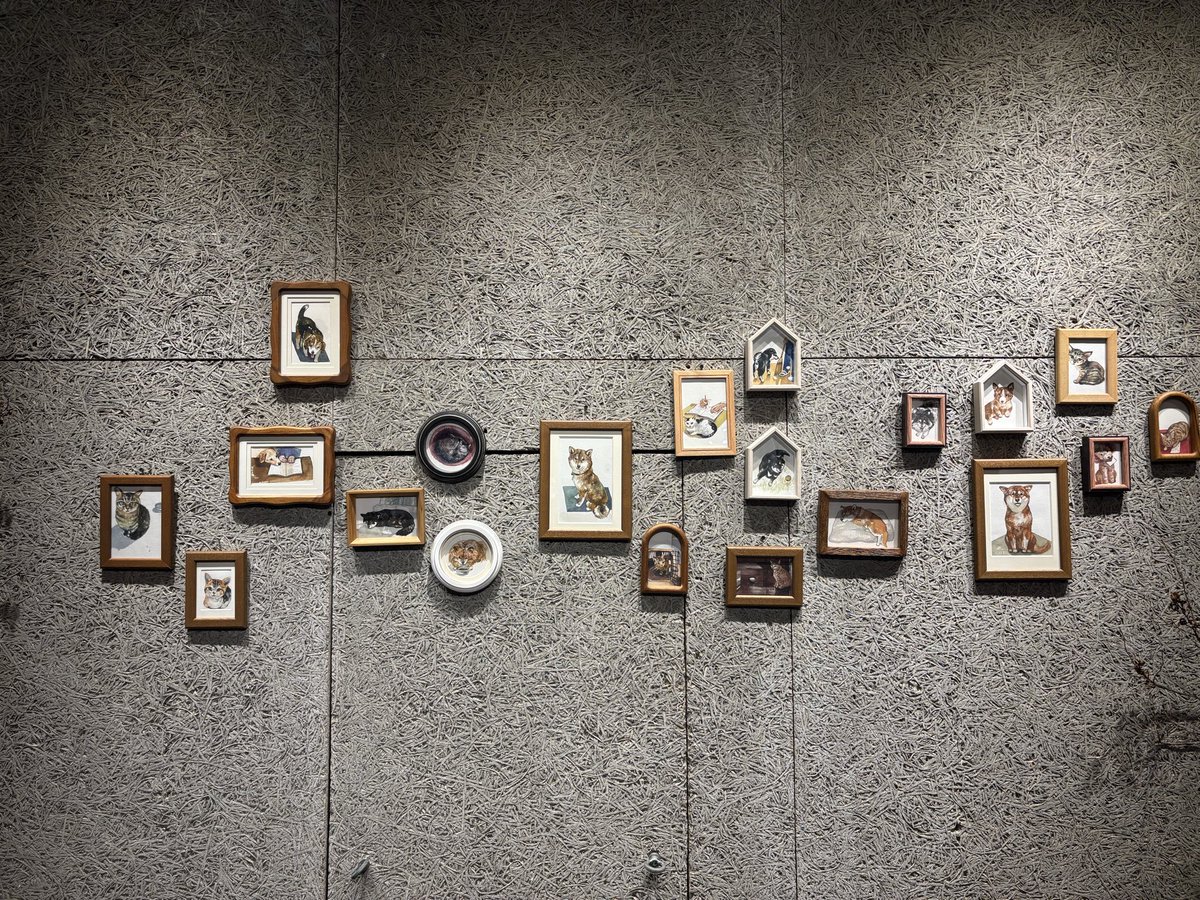 とこ👾 tweet media