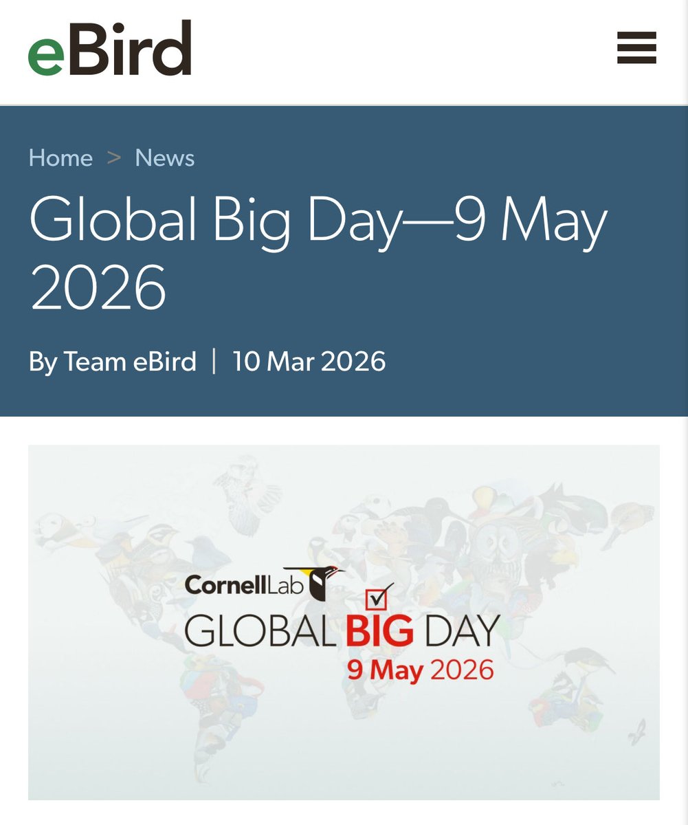 global_birding's tweet photo. 🗓️ Global Big Day Saturday 9 May
🗺️ Join in across the world
✅Send your bird checklists to eBird
😃Women birders are all welcome to join the Global Birding Women’s Team
📲Share your checklists to GBW Swarovski Optik
Join eBird &amp; Global Big Day info

https://t.co/op1A86Gw65 https://t.co/Qirm6c7a4G