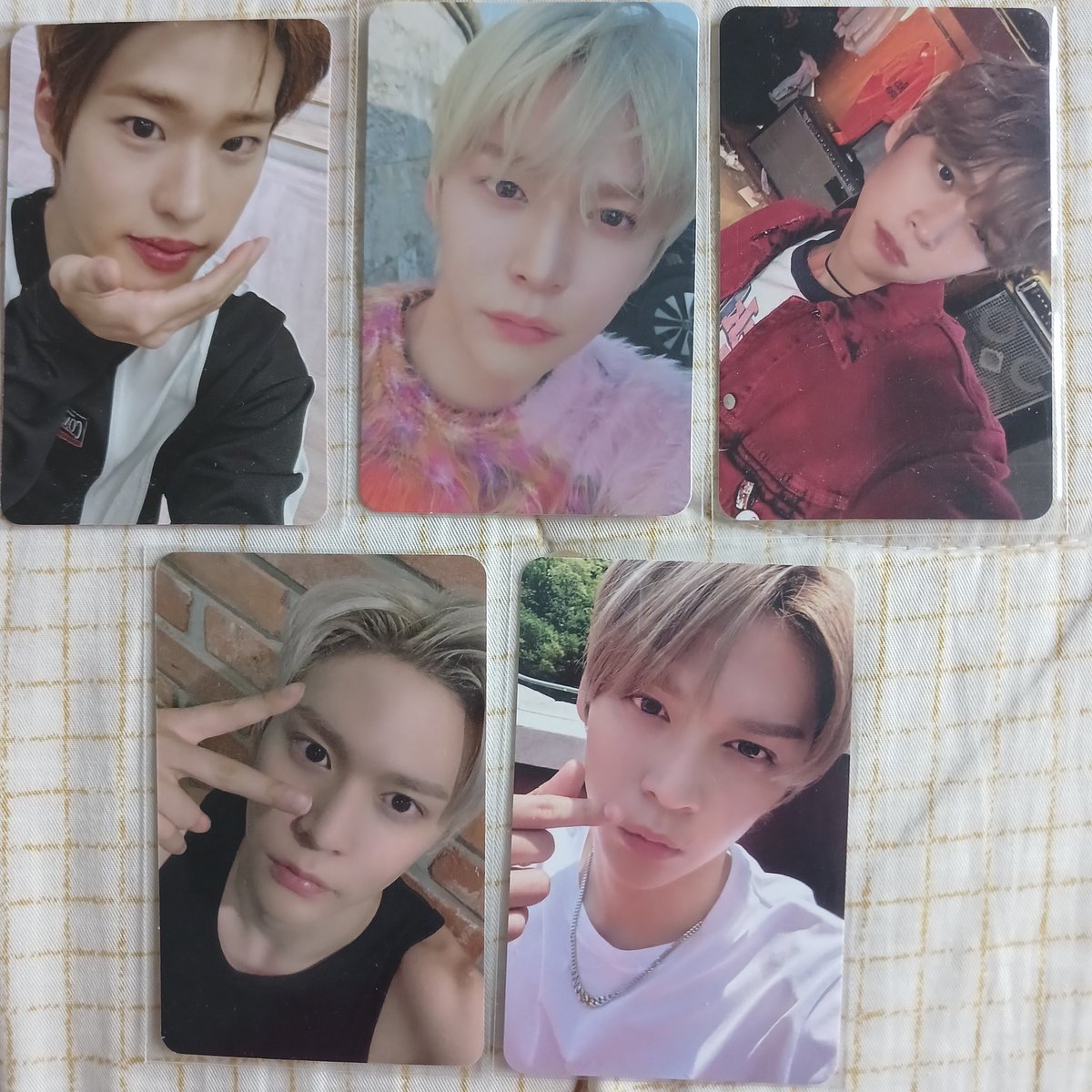 บ๊อก บ๊อก กู๊ดดดดดดดด tweet media