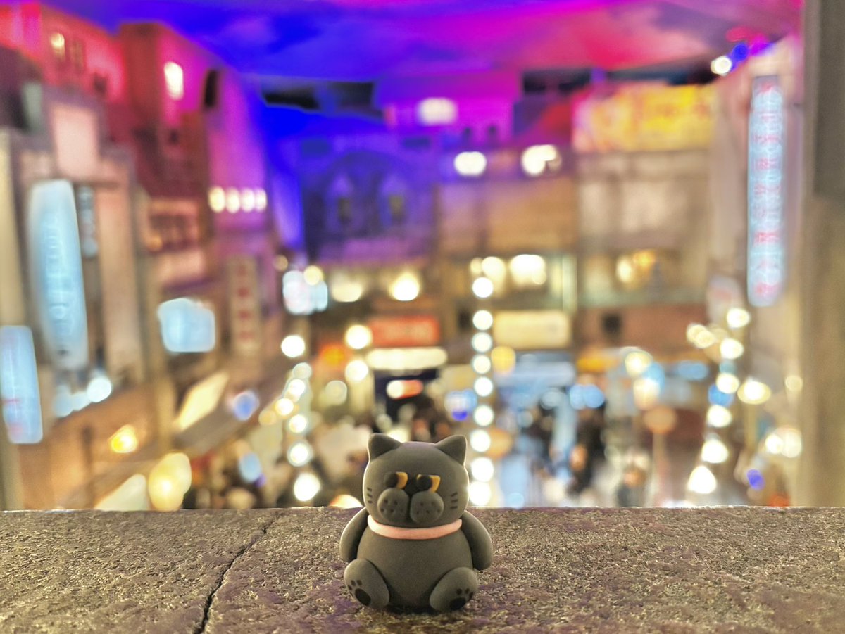 .NUKO（ドットぬこ） tweet media