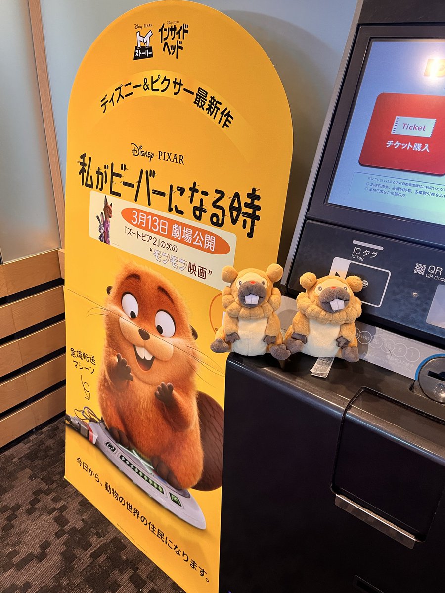 Bippa_Poke3's tweet photo. わたびば 鑑賞！
ムームー鳴いてる姿かわいすぎた🦫
(おそらく)有名なビーバーアカウントの方を見かけた気がする🦫
#私がビーバーになる時 https://t.co/2xxGQ81fLH