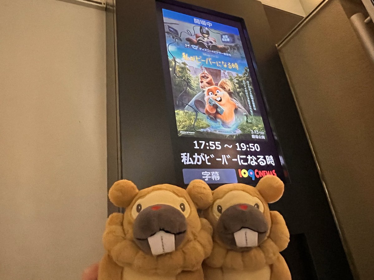 Bippa_Poke3's tweet photo. わたびば 鑑賞！
ムームー鳴いてる姿かわいすぎた🦫
(おそらく)有名なビーバーアカウントの方を見かけた気がする🦫
#私がビーバーになる時 https://t.co/2xxGQ81fLH