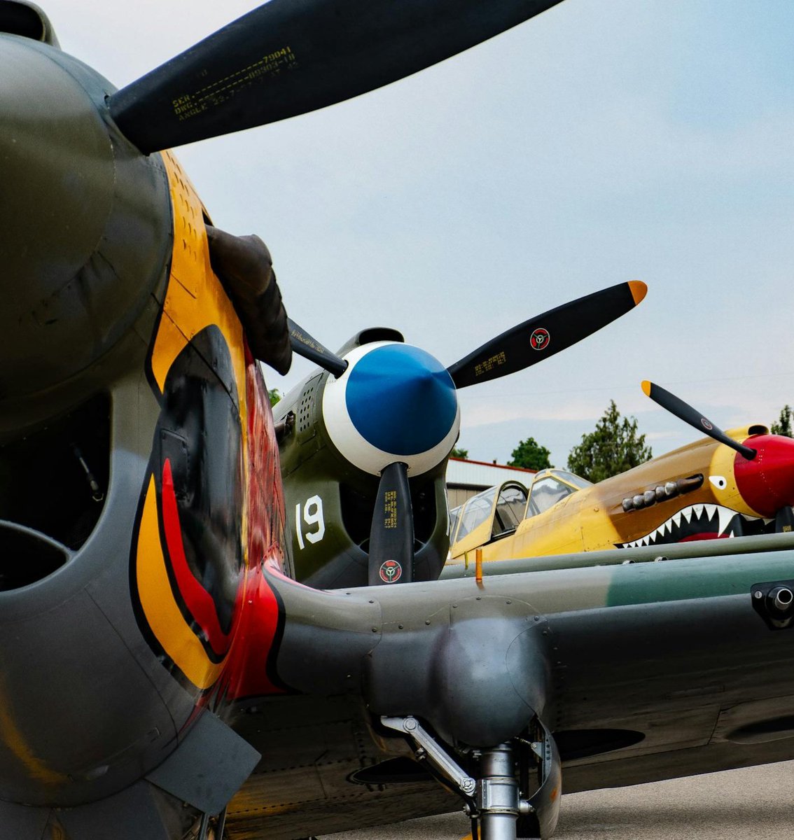 Telegraph Avenue tweet media