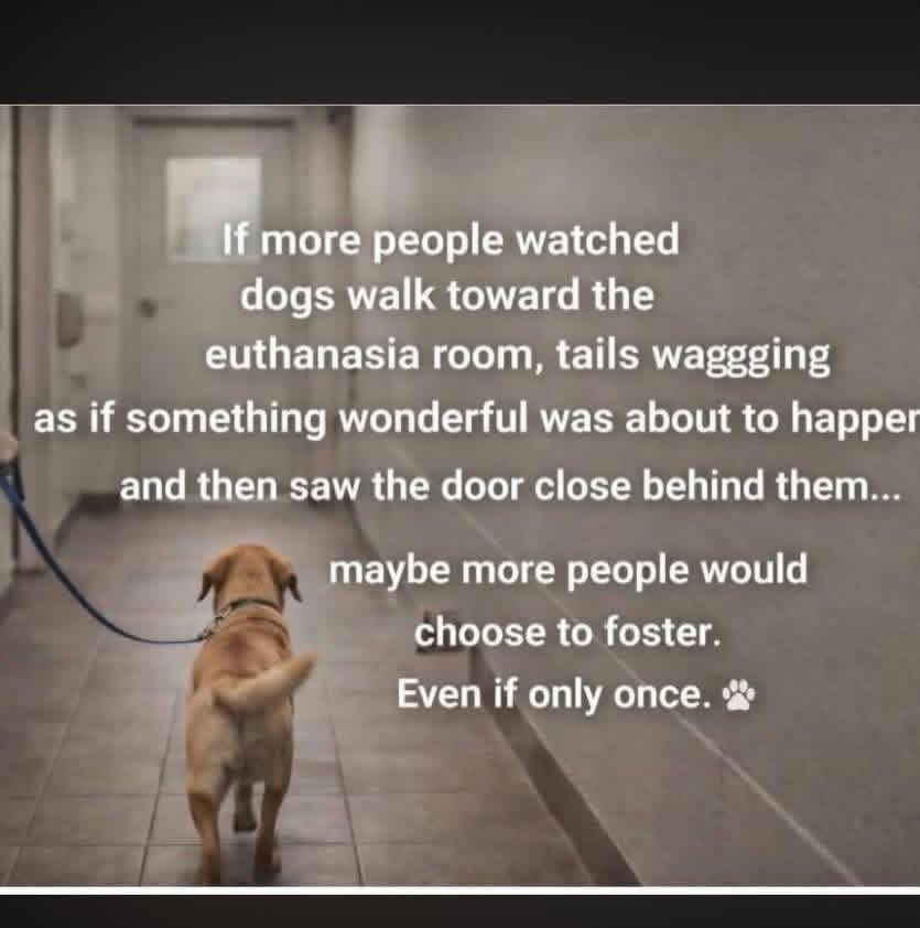 Roula Polites tweet media