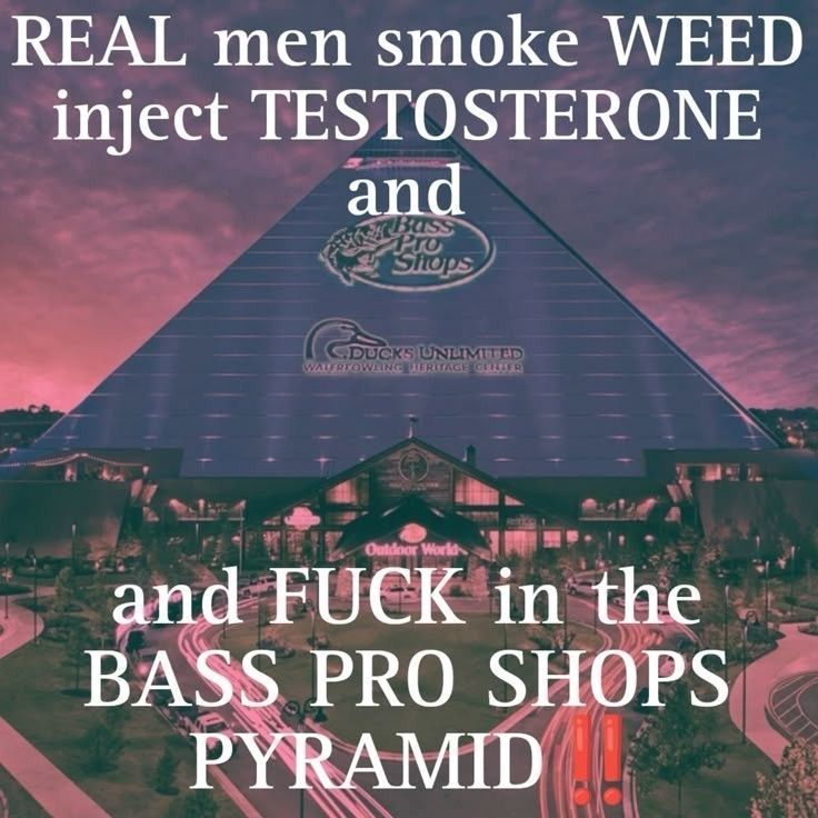 horse dentist tweet media