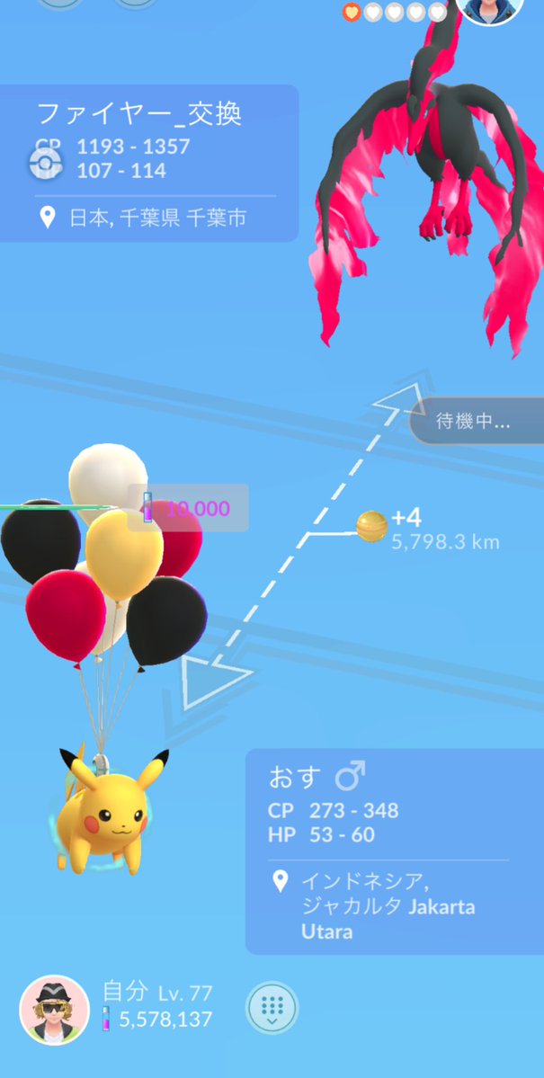 はしるねこ/nyankake🍈🐈🌱 tweet media