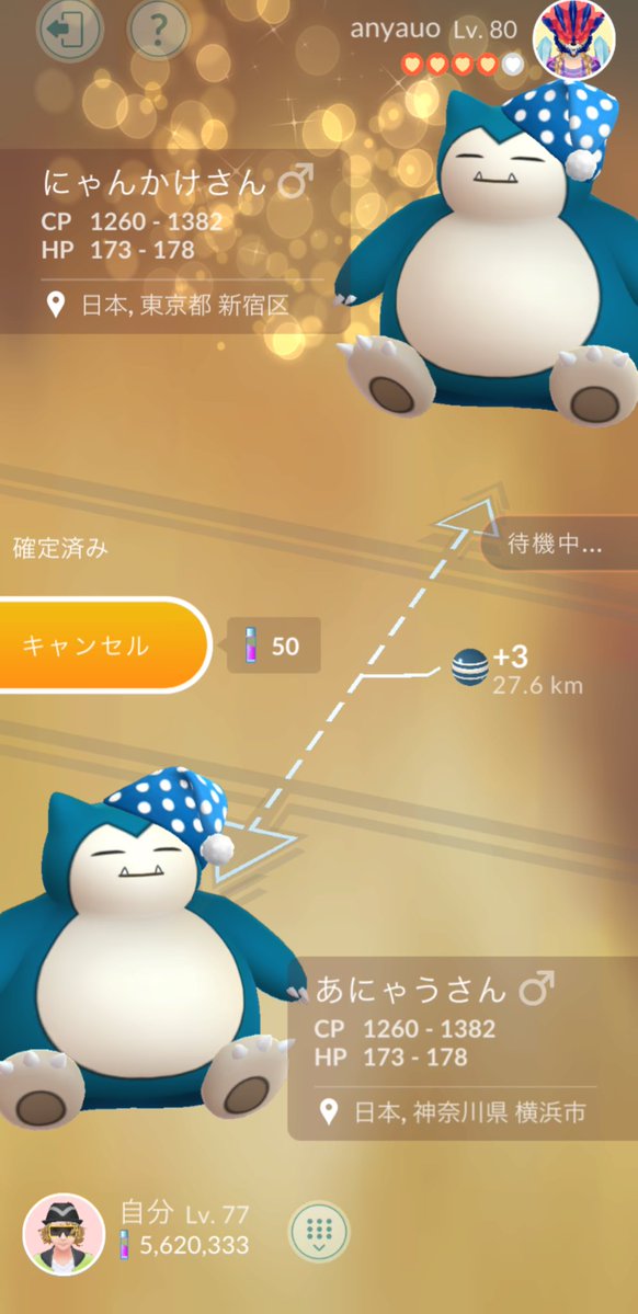 はしるねこ/nyankake🍈🐈🌱 tweet media