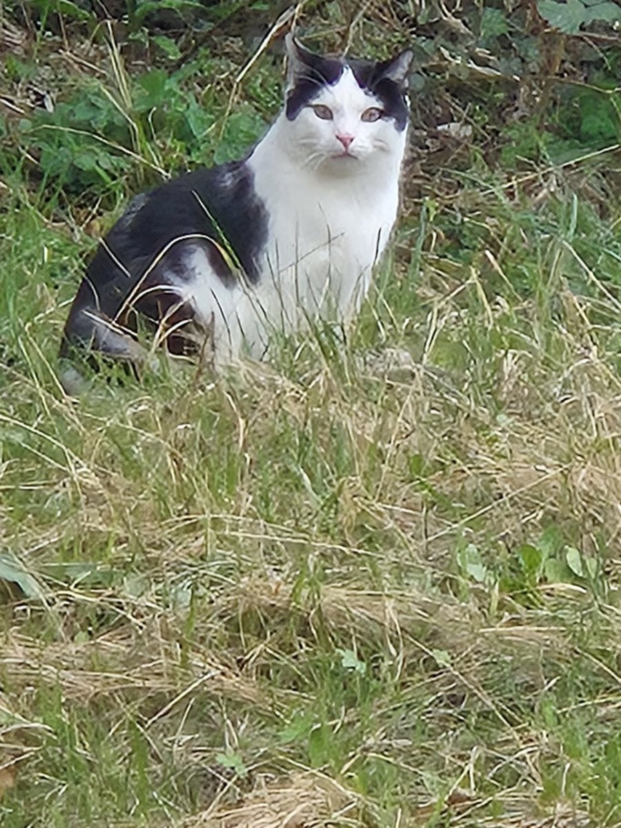 Nαԃʝα ˃ᴗ˂ tweet media