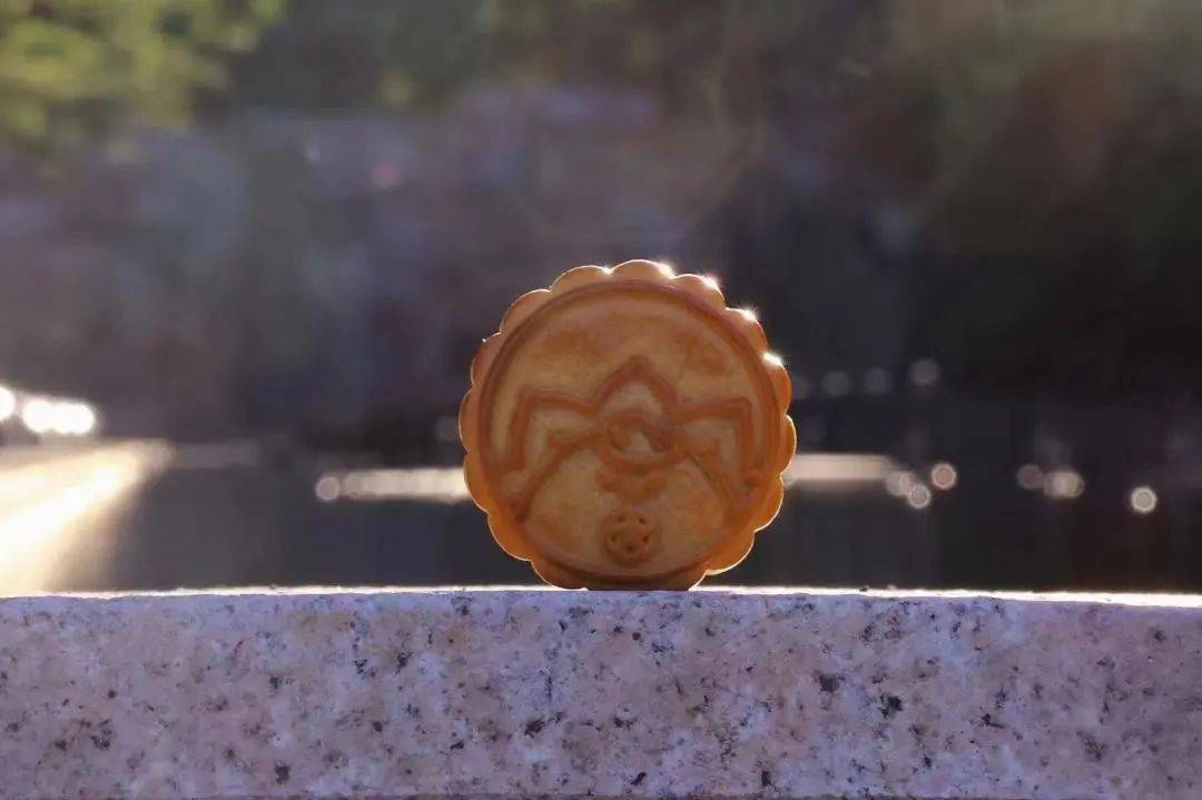 Liam Thomas Walsh tweet media