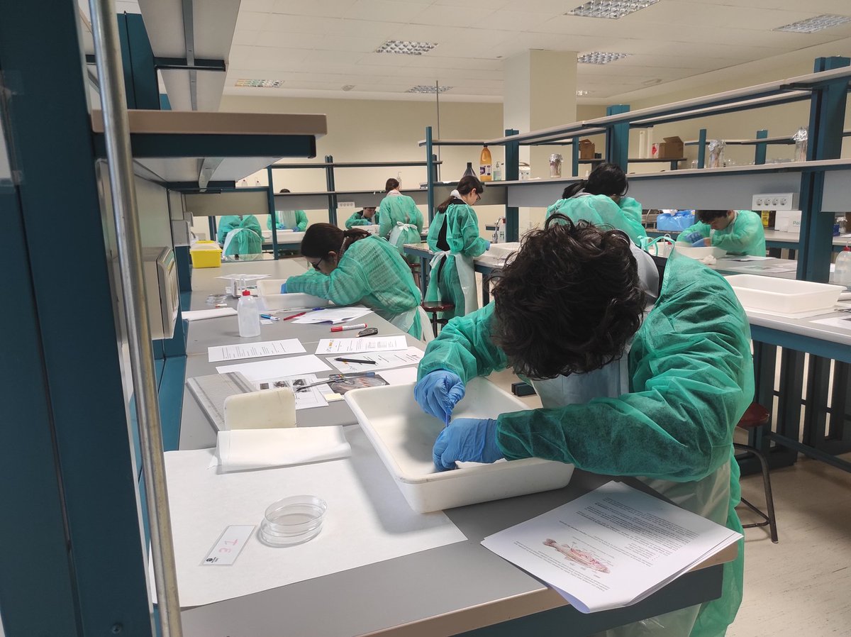 Olimpiada Asturiana de Biología OAsB tweet media