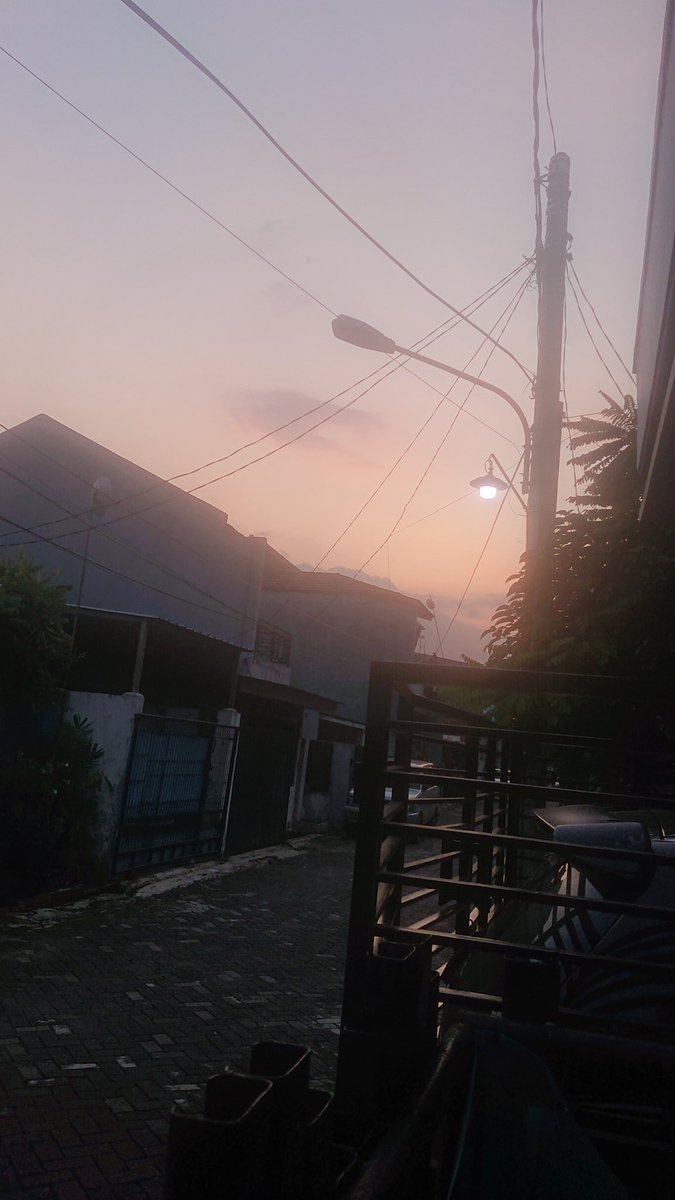 Devlin Bataric tweet media