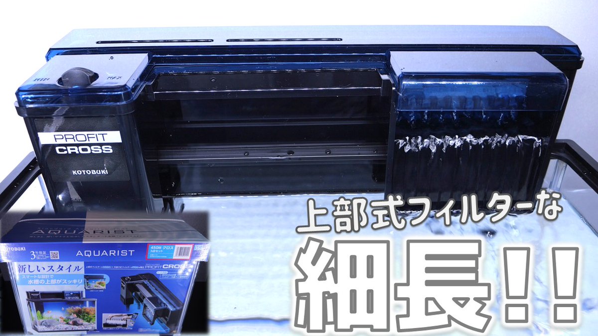 ふぶきテトラ(Fubuki Tetra) tweet media