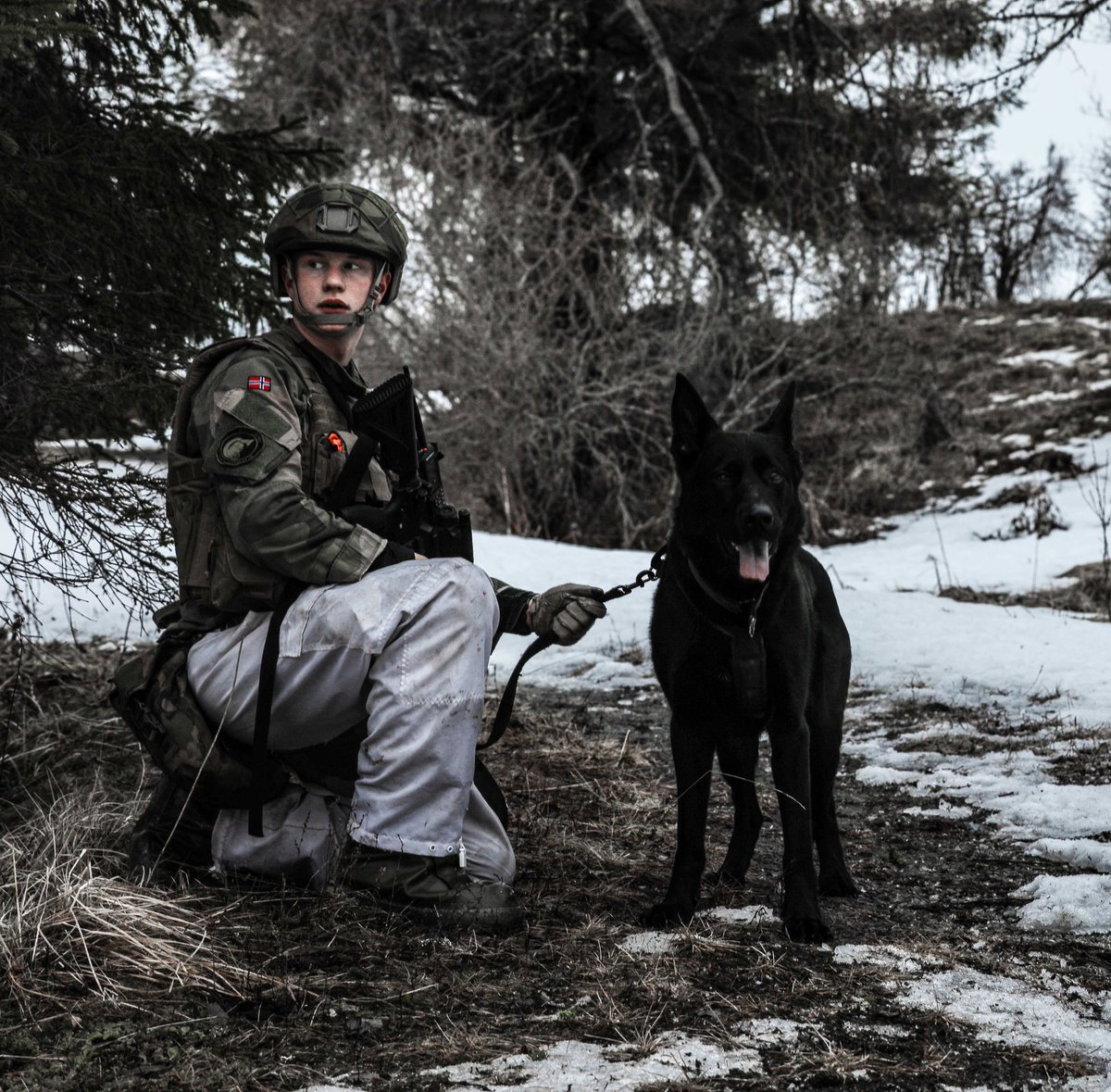 Royal Air Force tweet media