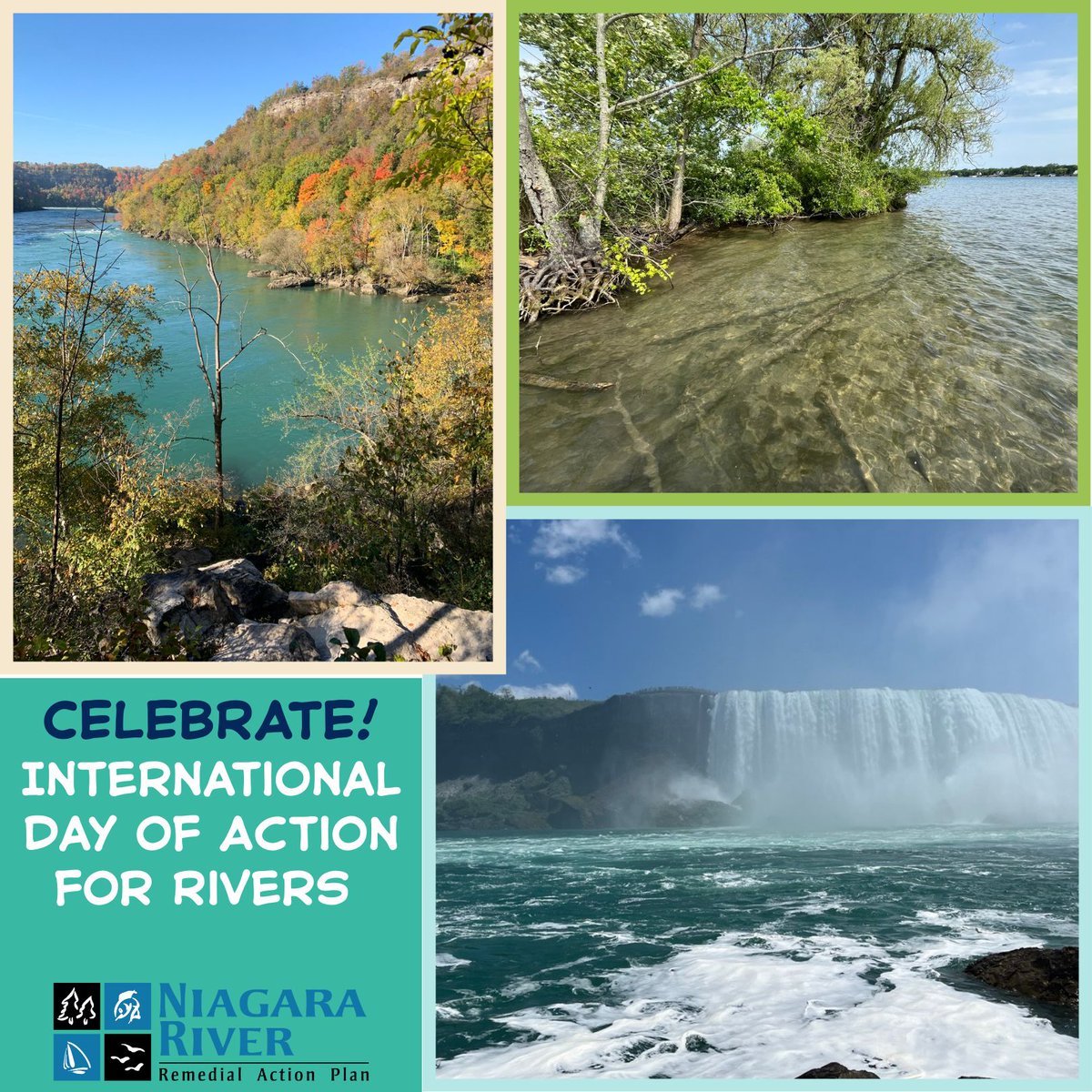 Niagara River RAP (Canada) tweet media