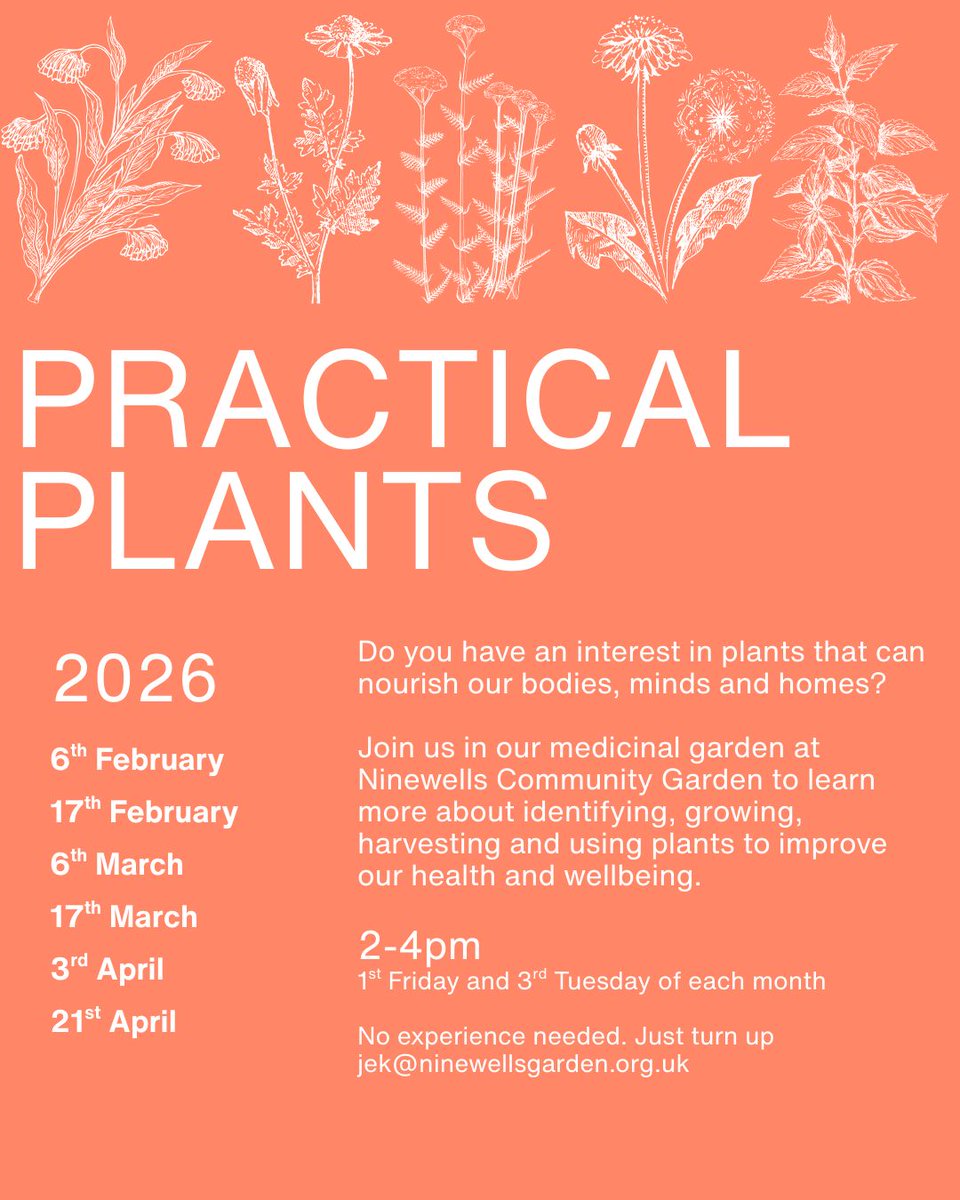 Ninewells Garden tweet media