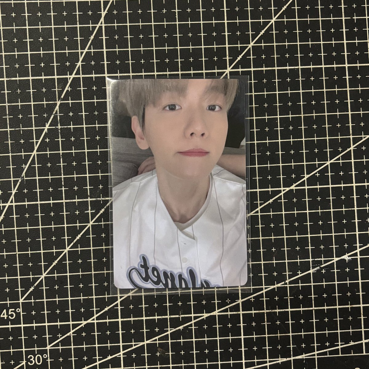 sophia 🎸 tweet media