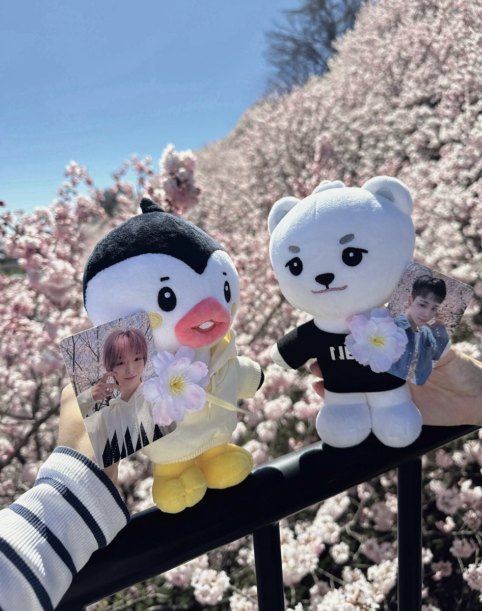 わさび🐧💋𝙉𝙀𝙓𝟮𝙔 tweet media