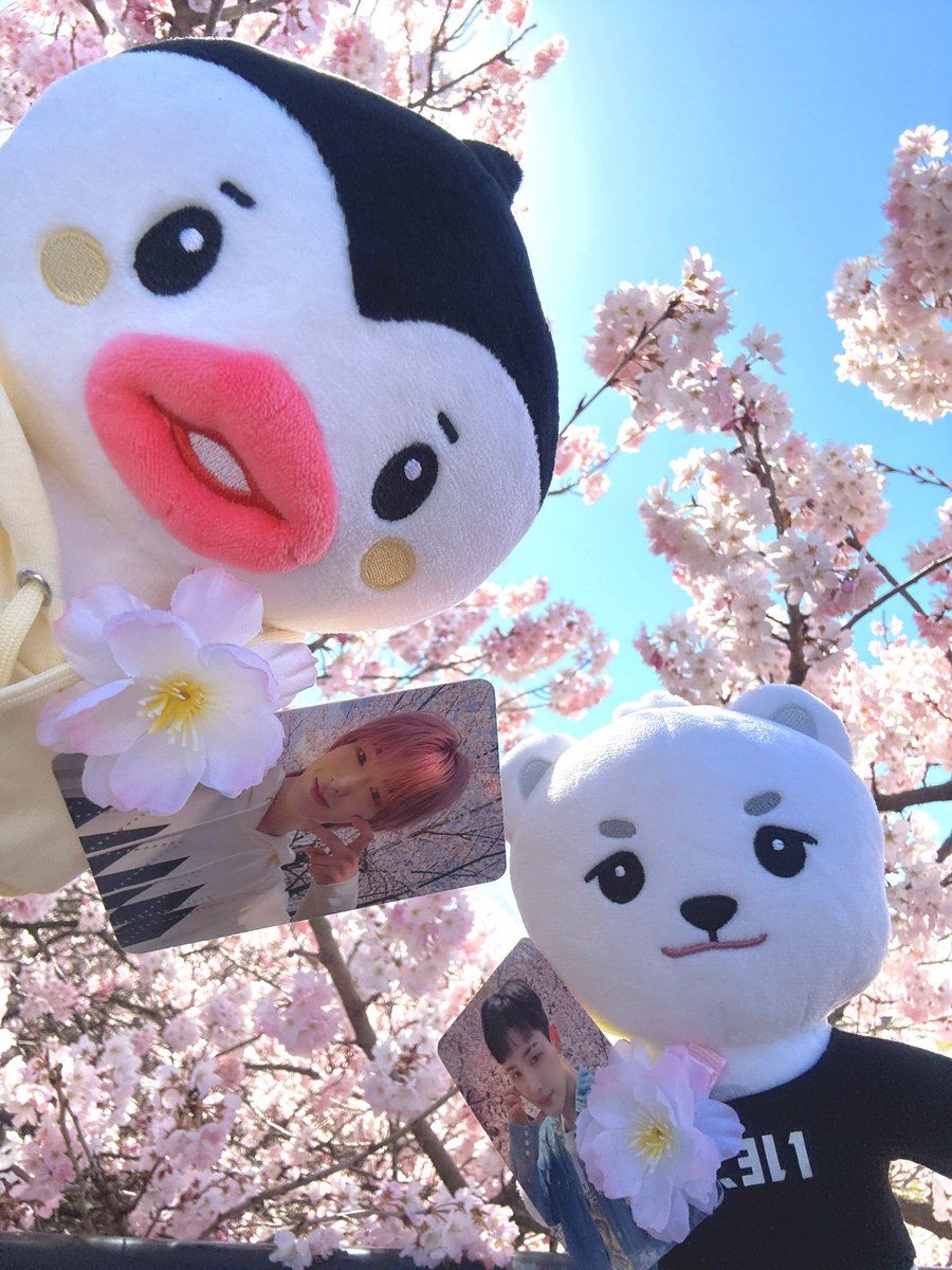 わさび🐧💋𝙉𝙀𝙓𝟮𝙔 tweet media