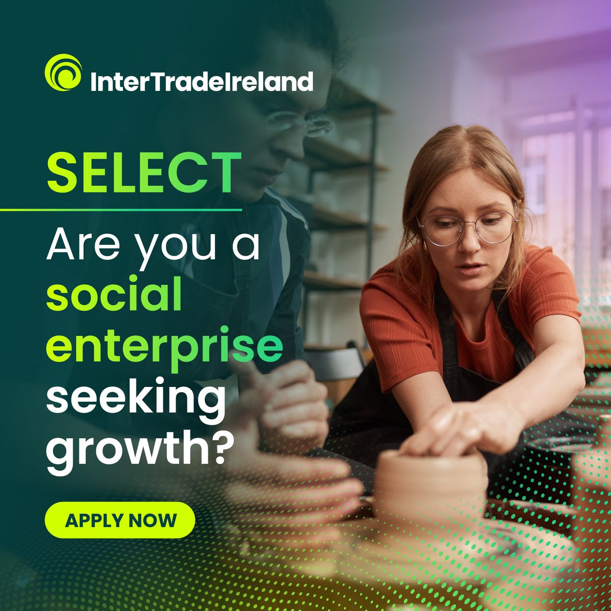 InterTradeIreland tweet media