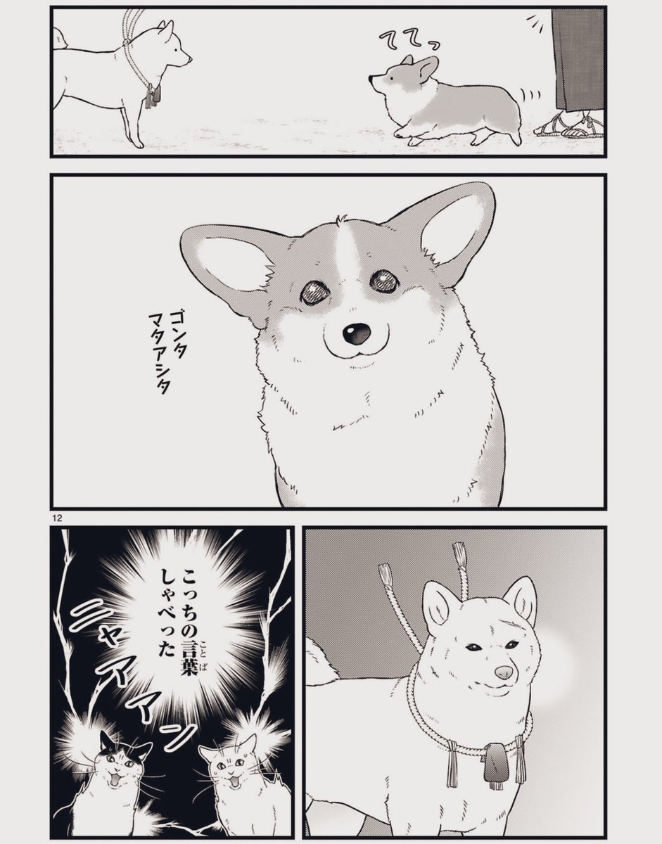 (2/3) 