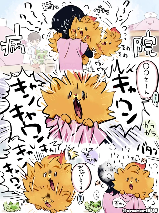 ポムケンと病院 🐶🏥 rkgk

#PokemonWindsWaves 