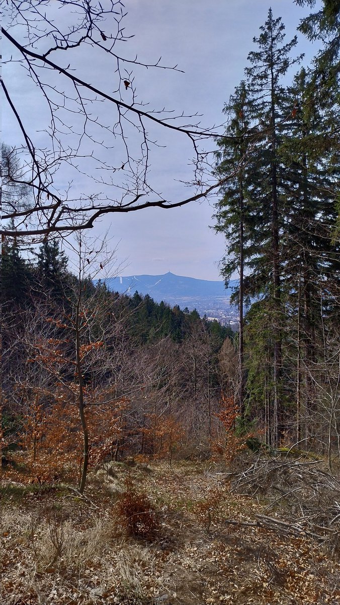 Jablonecak30362's tweet photo. Ještěd. 🤗🙋🌲
#Jested https://t.co/pryl9Ee4W8