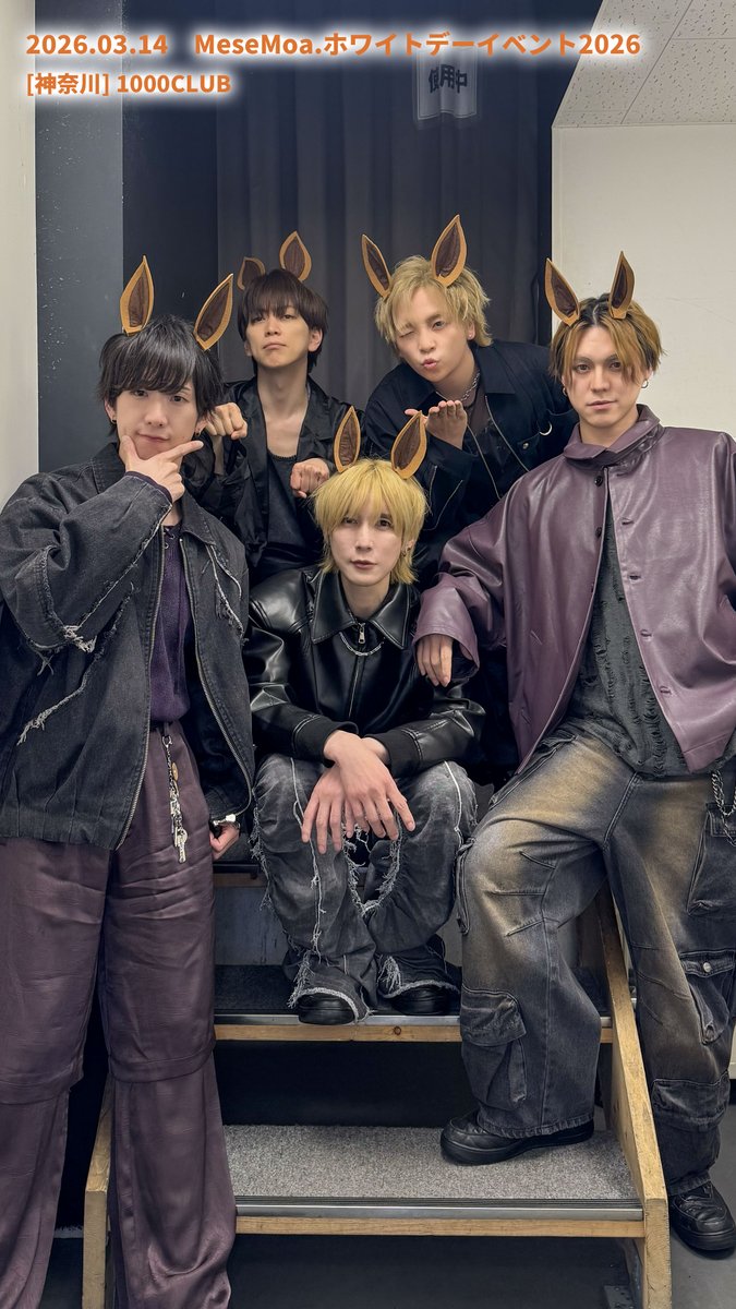 MeseMoa.公式 tweet media