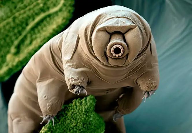 Simon Skou Jakobsen tweet media