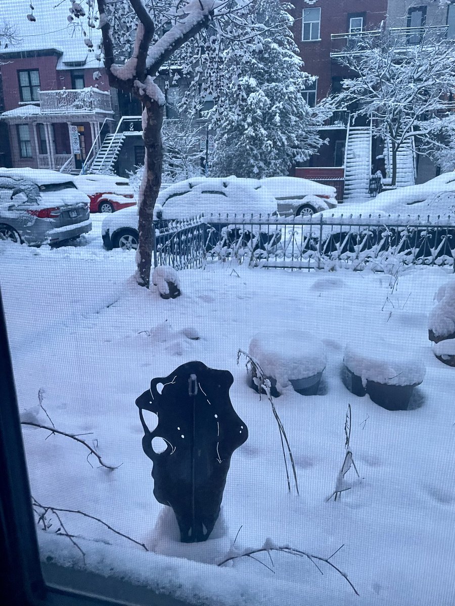 Pierre Levy 🌻💔 tweet media