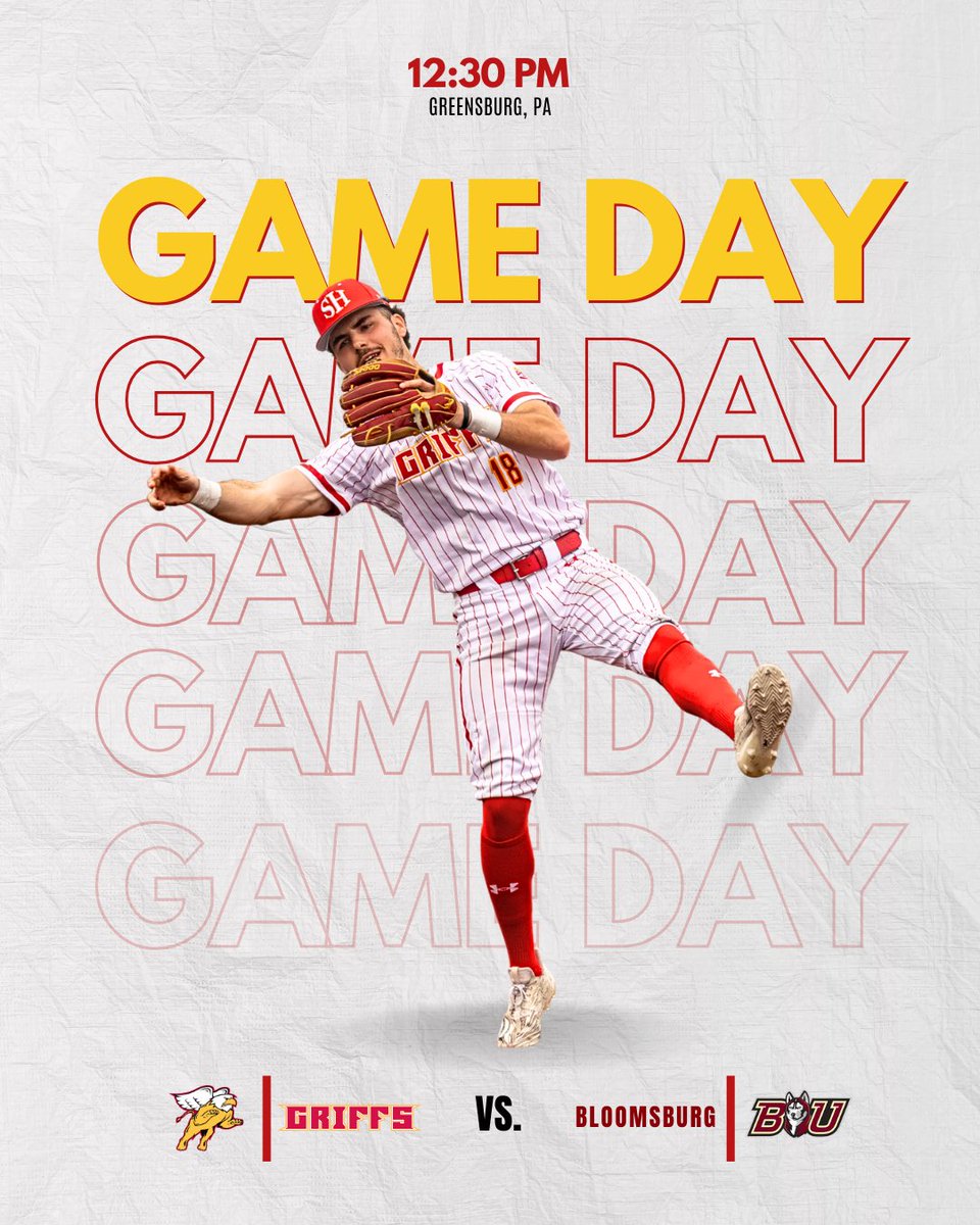 Seton Hill Baseball tweet media