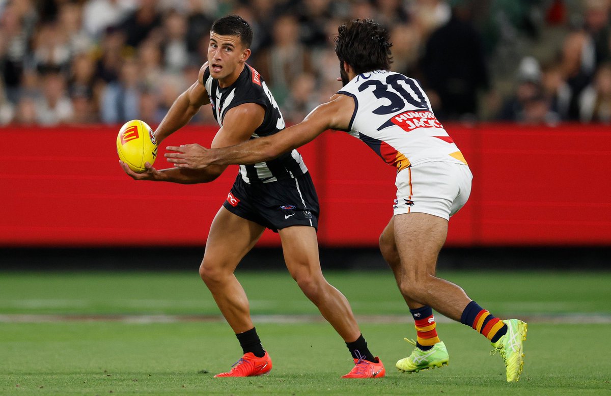 PiesNation tweet media