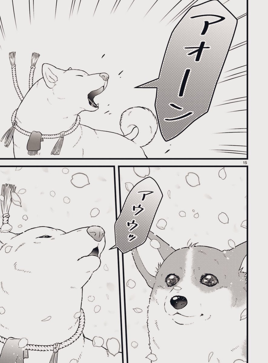 (3/3) 