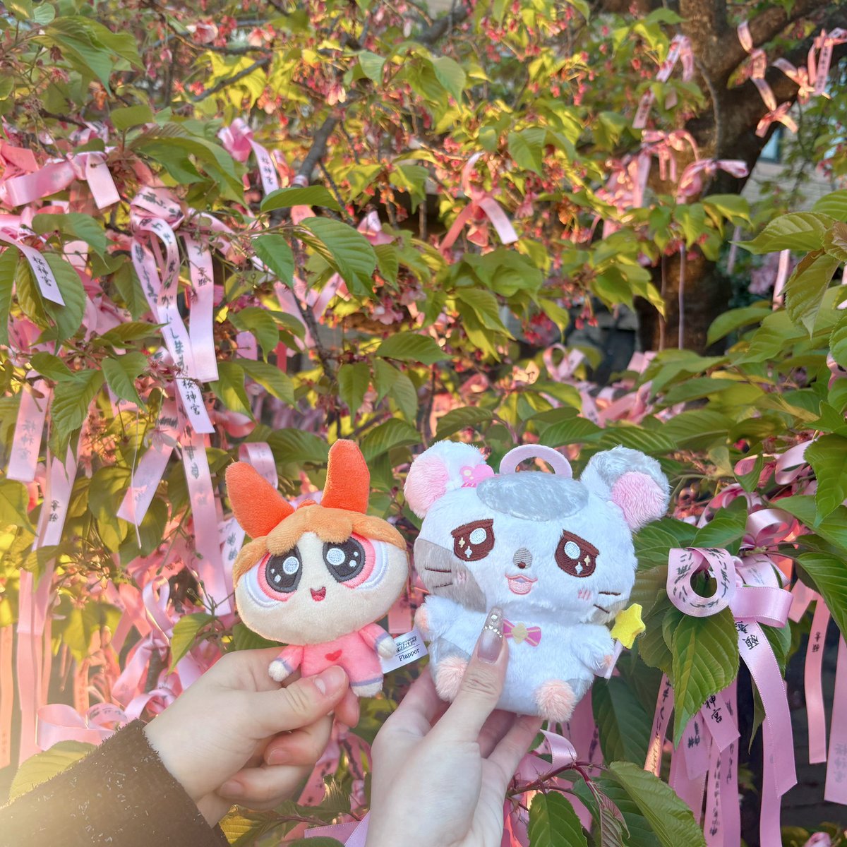 あいら＊ tweet media