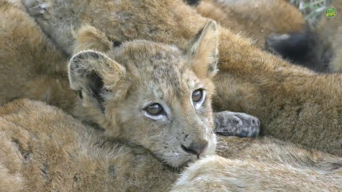 Billie We tweet media