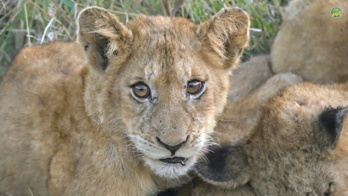 Billie We tweet media