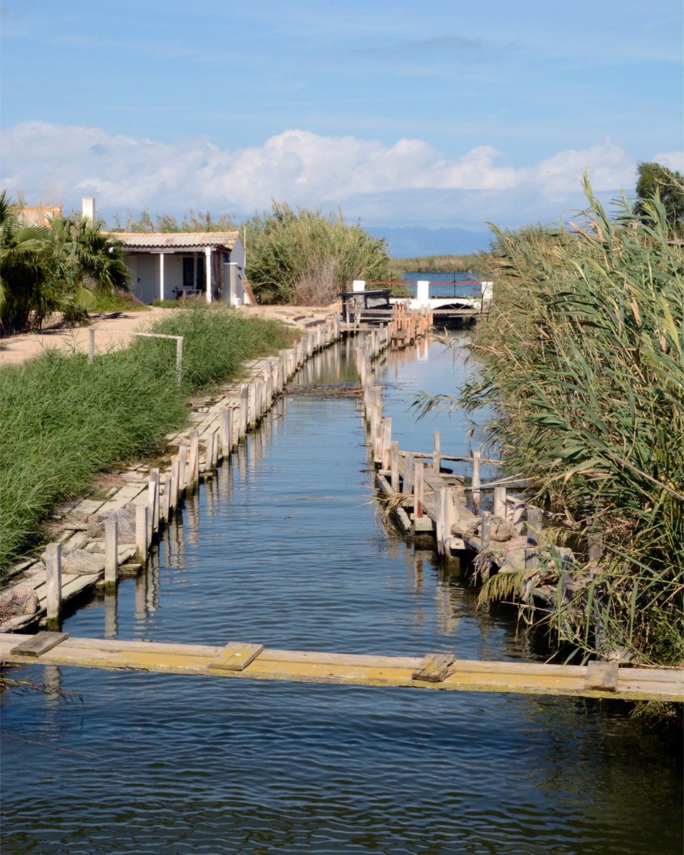Arròs Illa de Buda tweet media