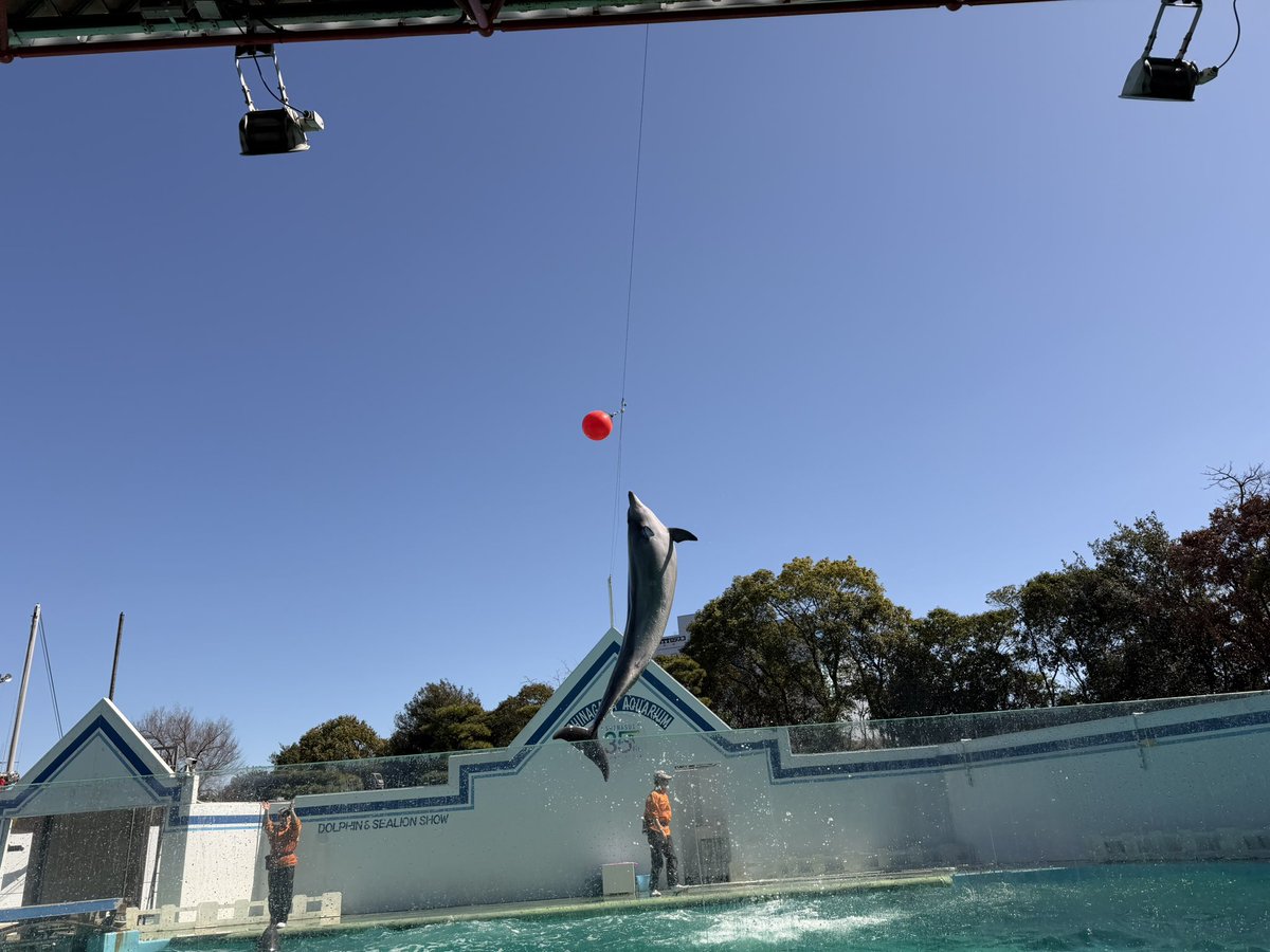 あゆみ tweet media