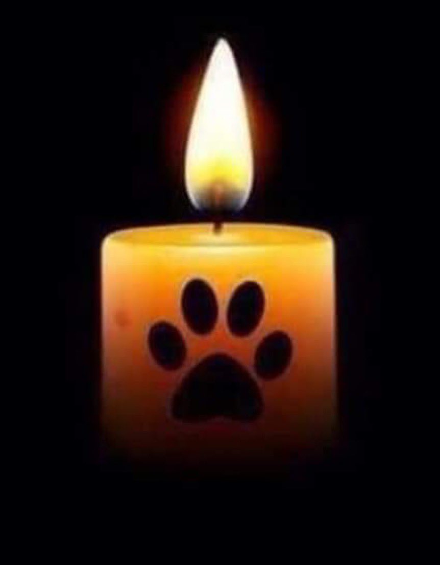 Mike Staley tweet media