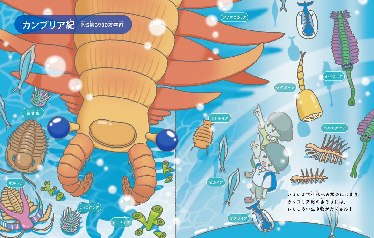 こた｜絵本作家 tweet media