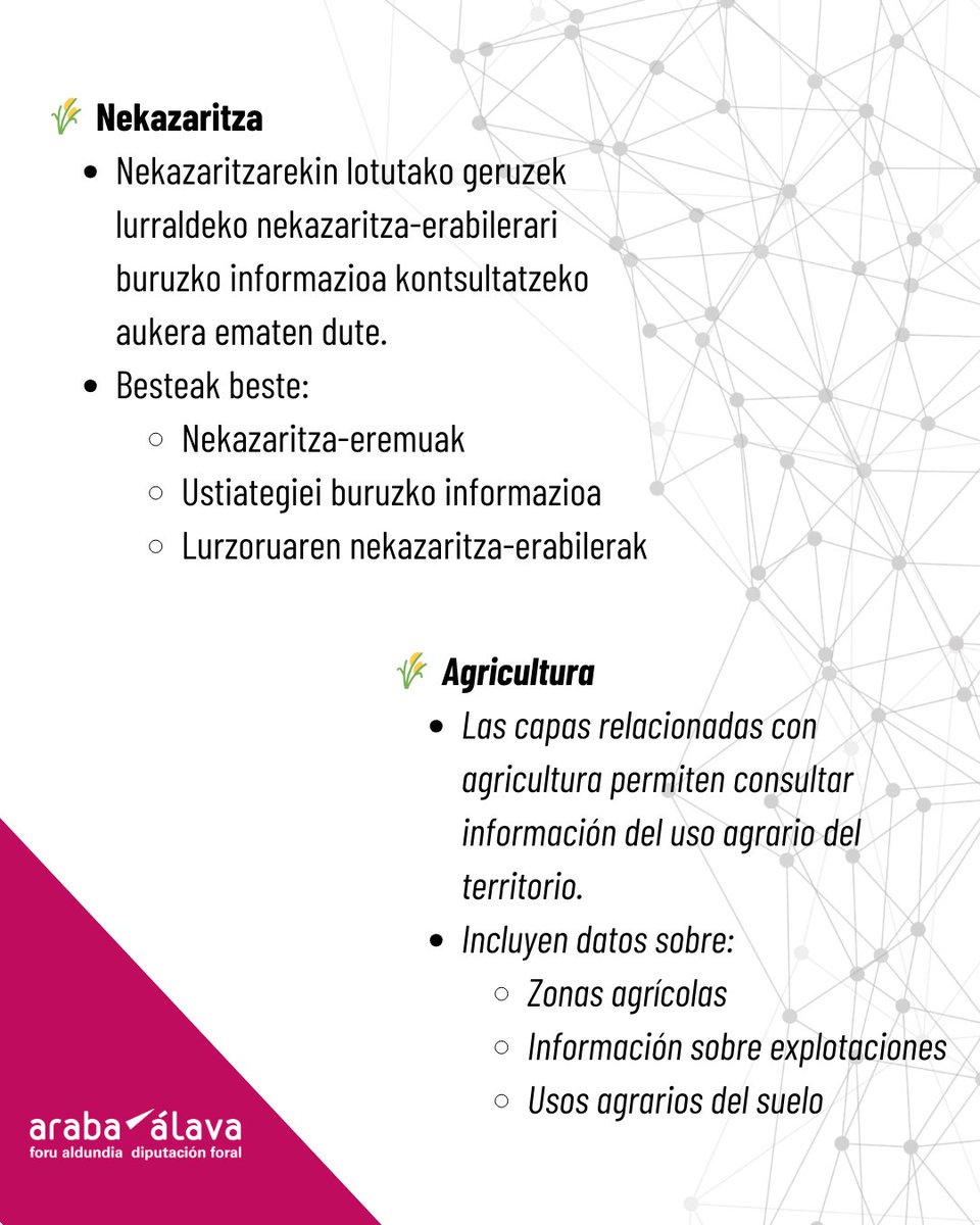 GeoAraba tweet media