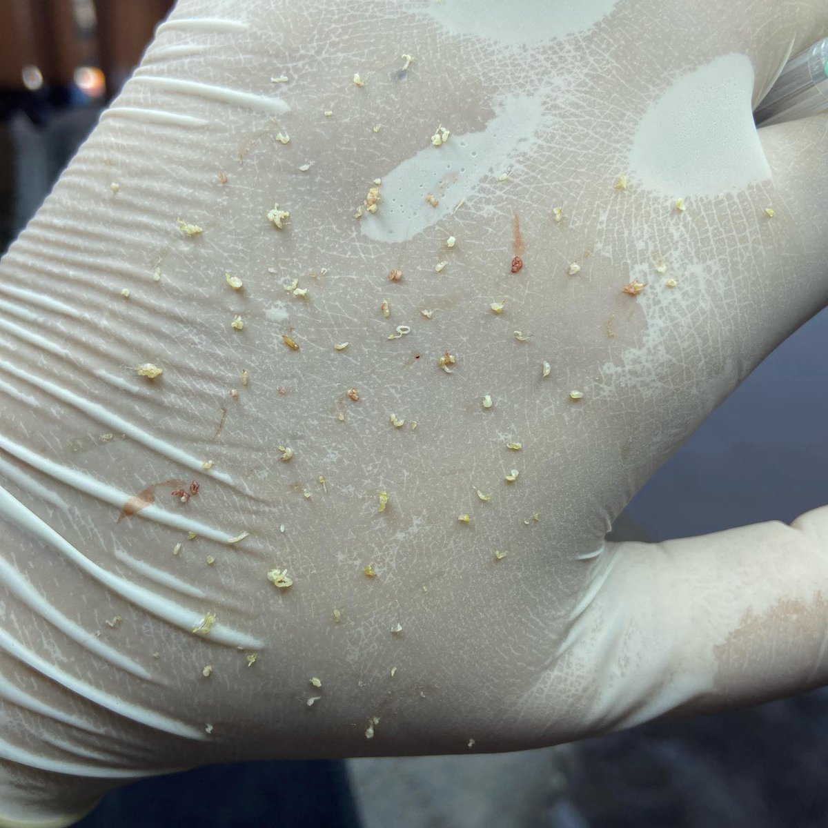 ก่อนจะสามสิบ tweet media