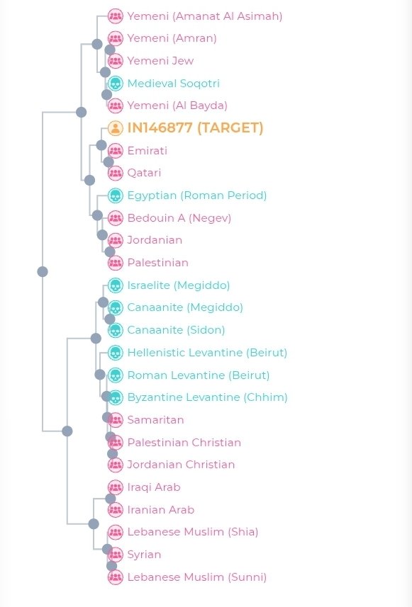 ناصر محمد L62-M67-Z467-FT153203 tweet media