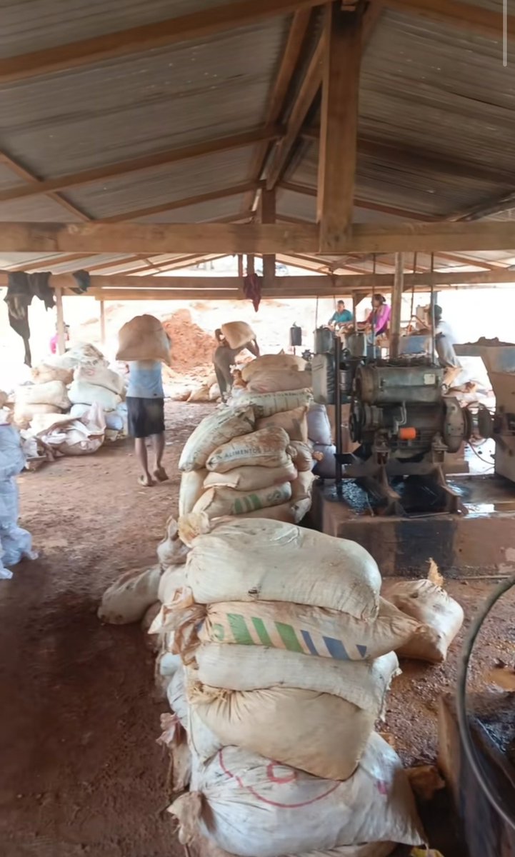 Fritz Sanchez tweet media