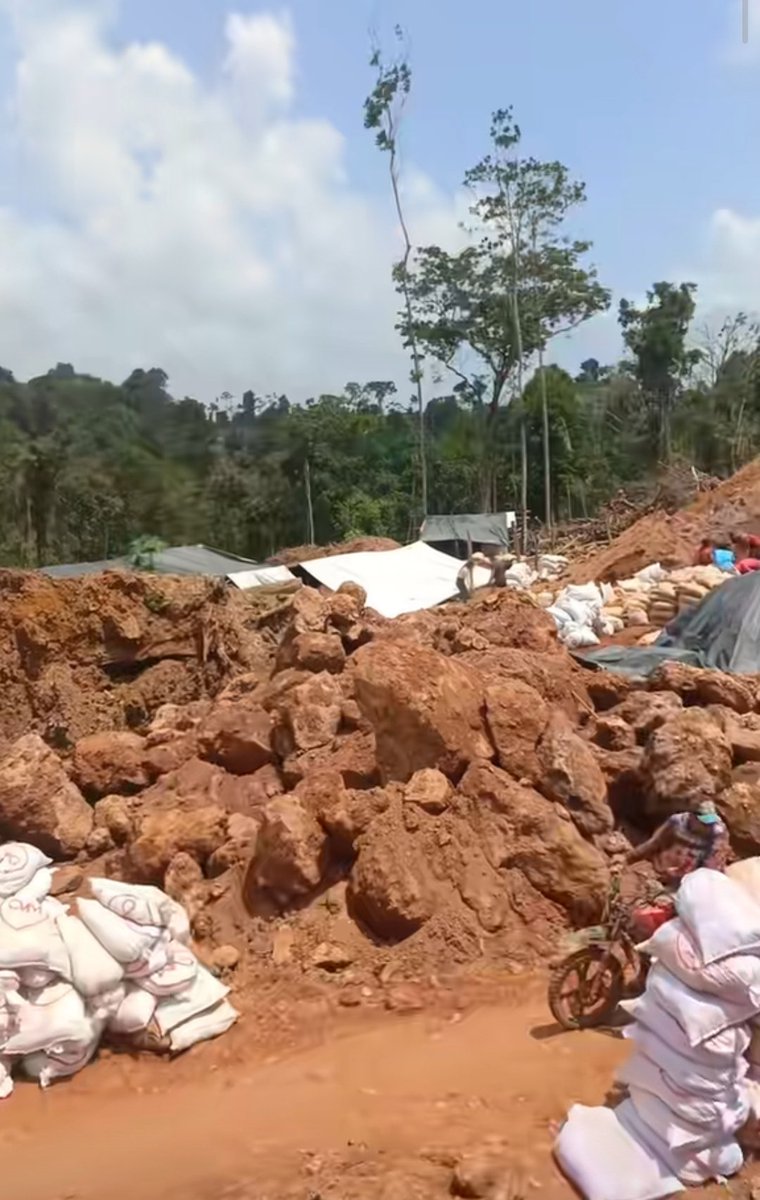 Fritz Sanchez tweet media