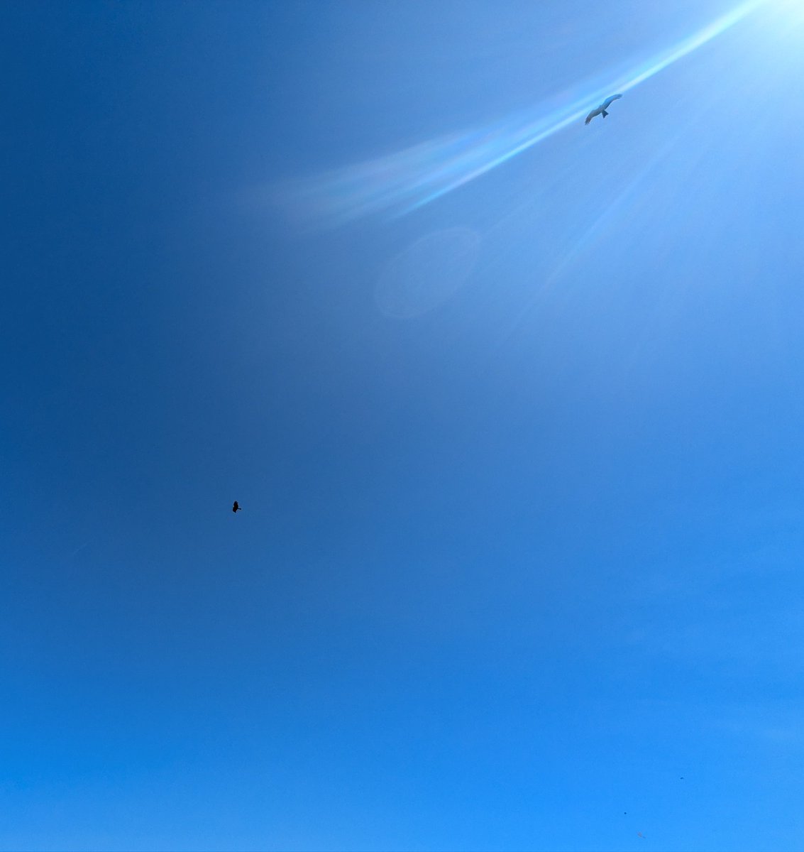 chocolate&lemonade tweet media