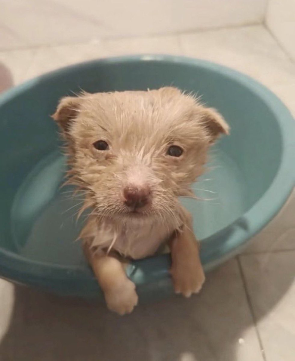 소사희 tweet media