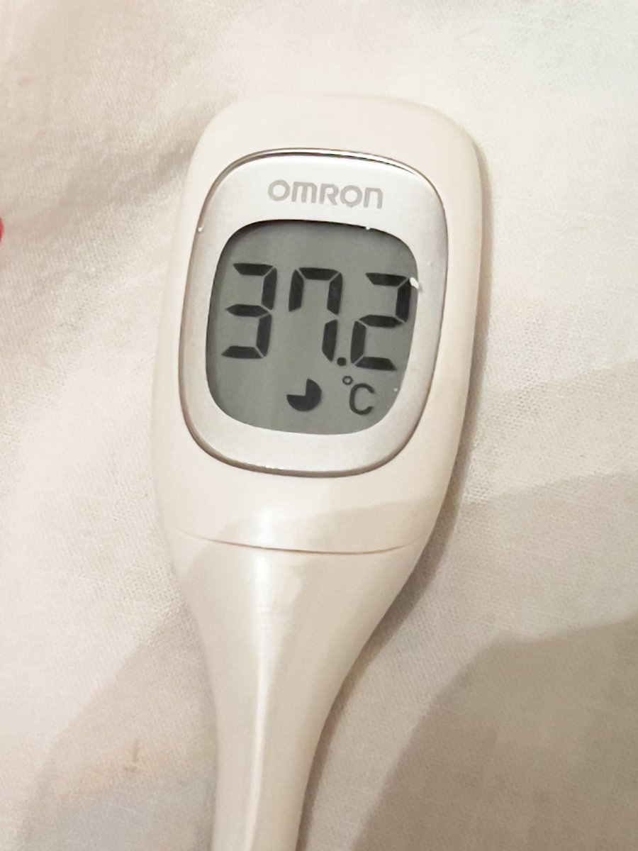 mistbahn tweet media