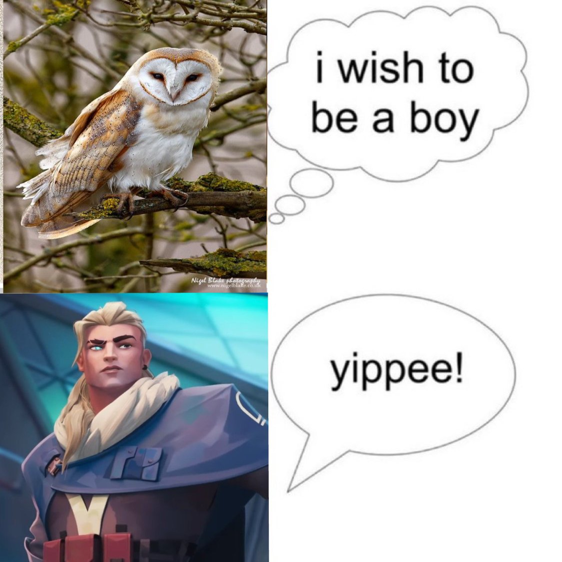 StormXD tweet media