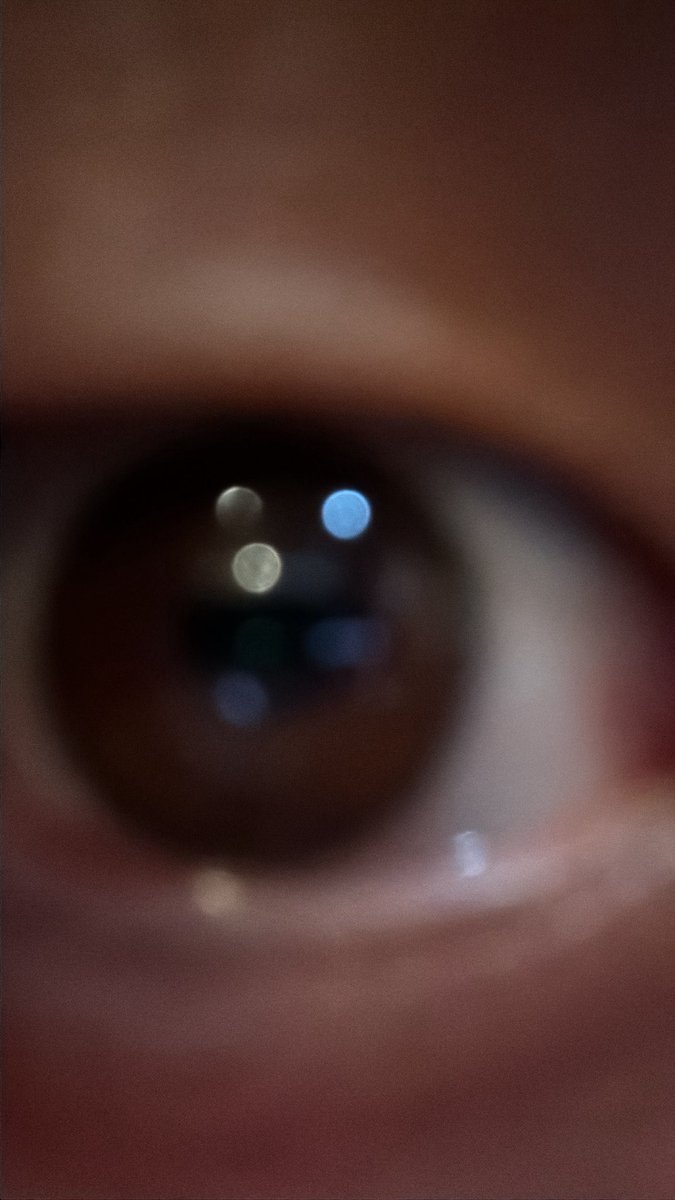 かぴぃ tweet media