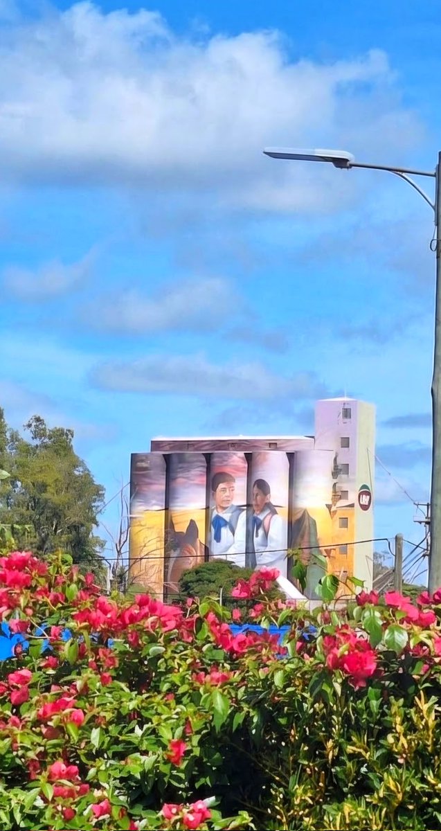 La Agregada tweet media